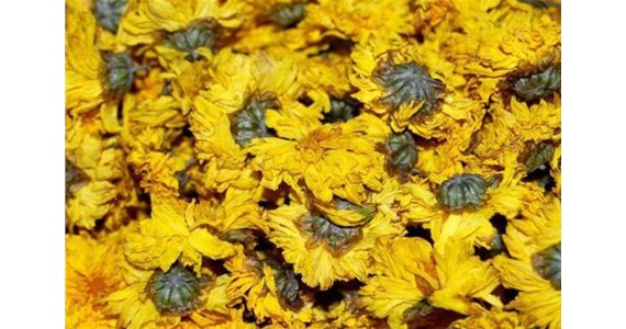 菊花烘干房的溫控細節(jié)介紹